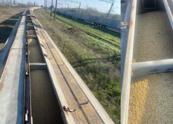 З України через Закарпаття намагалися вивезти за підробними документами 160 тонн соєвих бобів вартістю понад 15,3 млн. грн (ФОТО)