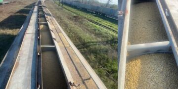 З України через Закарпаття намагалися вивезти за підробними документами 160 тонн соєвих бобів вартістю понад 15,3 млн. грн (ФОТО)