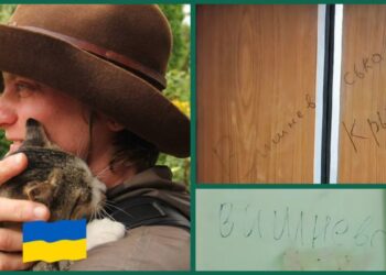 “Залиті кров'ю підлога та двері”: “Вітропарки” почали залякувати захисників унікального високогір'я на Закарпатті (ВІДЕО)