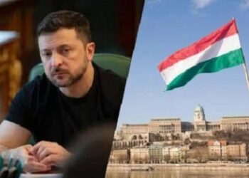 Зеленський розкрив деталі операції військової розвідки угорщини на Закарпатті