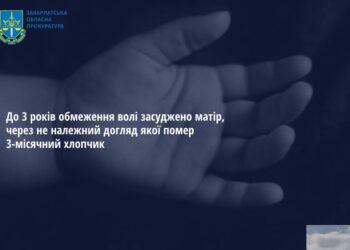Жінку з Сухого на Ужгородщині, через яку помер її 3-місячний син, засудили до 3 років тюрми