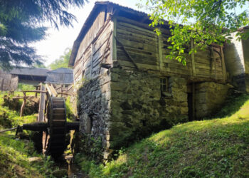 Жива історія: на Закарпатті досі працює автентичний водяний млин