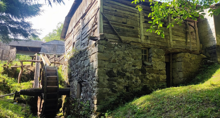 Жива історія: на Закарпатті досі працює автентичний водяний млин