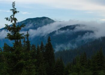 Прикордонники розповіли про пригоди 8 чехів на Закарпатті — Закарпаття