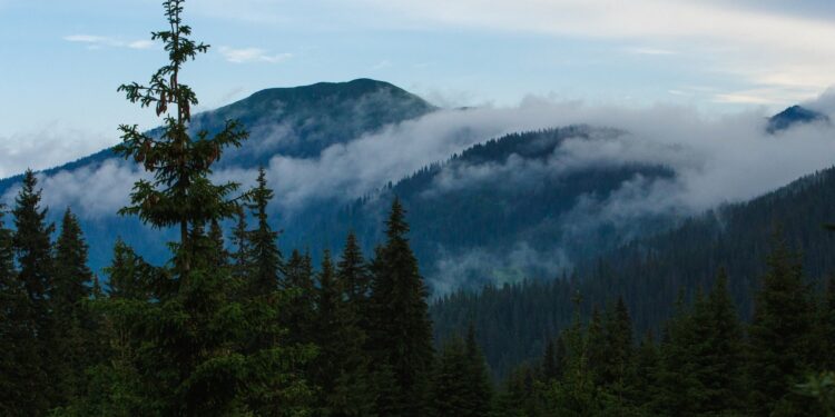 Прикордонники розповіли про пригоди 8 чехів на Закарпатті — Закарпаття