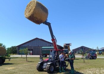 Німці шукають заміну дизелю – Техніка