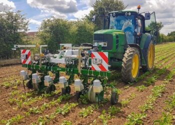 Британці навчили ШІ відрізняти бур’яни навіть у щільному посіві – Техніка