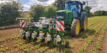 Британці навчили ШІ відрізняти бур’яни навіть у щільному посіві – Техніка