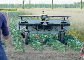 У Нідерландах показали новітні лазерні та електричні роботи для знищення бур’янів – Техніка