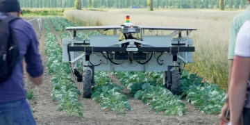 У Нідерландах показали новітні лазерні та електричні роботи для знищення бур’янів – Техніка