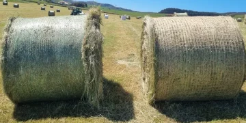 В Європі представили їстівну джутову сітку для тюків – Техніка