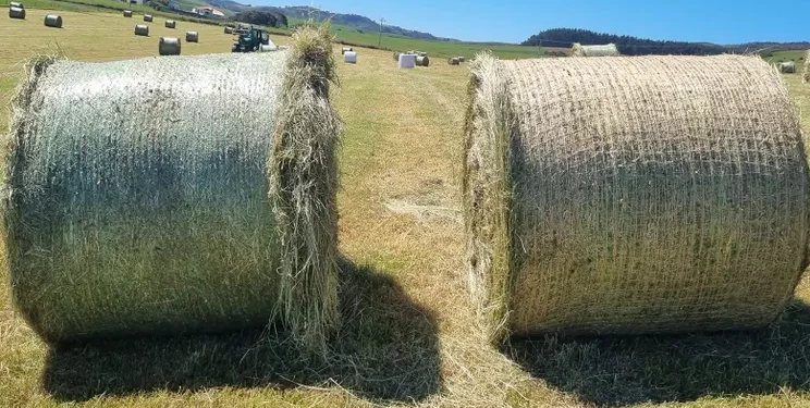 В Європі представили їстівну джутову сітку для тюків – Техніка