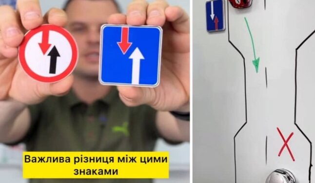 Зверніть увагу на колір стрілок: автошкола пояснила, яка різниця між цими дорожніми знаками — Закарпаття