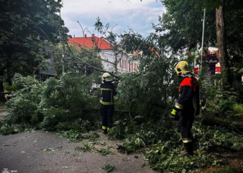 Буревій на Закарпатті: понад 130 сіл без світла, десятки пошкоджених дахів (ФОТО) –