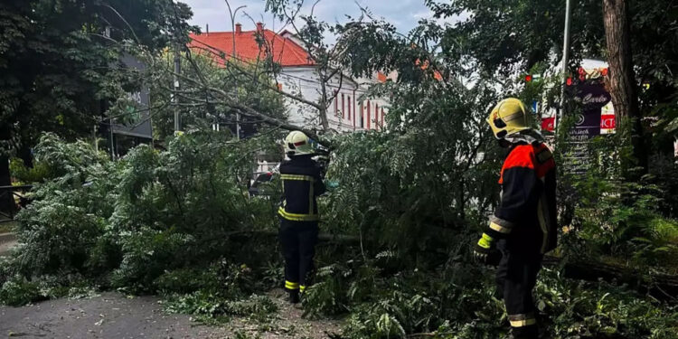 Буревій на Закарпатті: понад 130 сіл без світла, десятки пошкоджених дахів (ФОТО) –