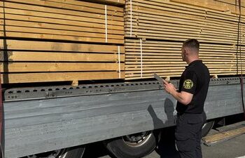 Майже 40 м³ деревини: на українсько-угорському кордоні намагались перевезти пиломатеріали — Ужгород