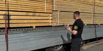 Майже 40 м³ деревини: на українсько-угорському кордоні намагались перевезти пиломатеріали — Ужгород
