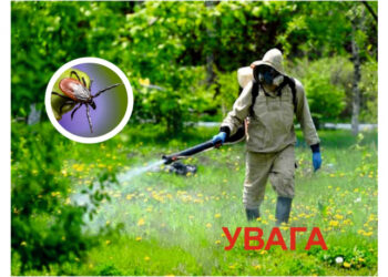 Фахівці Закарпатського ОЦКПХ МОЗ проводять обробку територій від кліщів