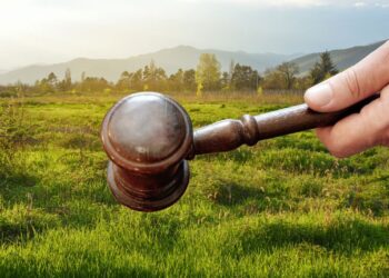 Кадастрова реєстраторка із Закарпаття підозрюється у махінаціях із землею на 860 тис. грн –