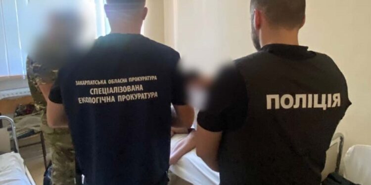 Керівнику Берегівського надлісництва повідомлено про підозру за незаконний продаж дуба як дров через підконтрольне підприємство (ФОТО)