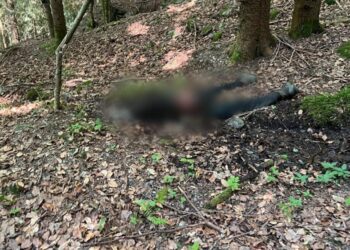 На Рахівщині біля румунського кордону виявили тіло невідомого чоловіка (ФОТО)