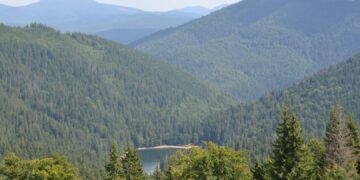 На Закарпатті через суд повернули державі понад 2,6 га землі у нацпарку “Синевир”