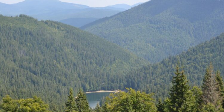 На Закарпатті через суд повернули державі понад 2,6 га землі у нацпарку “Синевир”