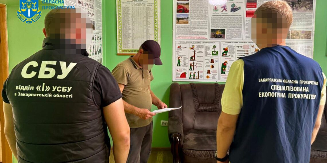 На Закарпатті лісівнику оголосили підозру через незаконну вирубку дубів на 5,2 млн грн (ФОТО)