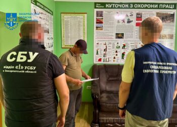 На Закарпатті лісівнику оголосили підозру через незаконну вирубку дубів на 5,2 млн грн (ФОТО)
