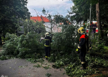 На Закарпатті рятувальники прибрали 22 дерева, що впали внаслідок вечірнього буревію (ФОТО)