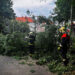 На Закарпатті рятувальники прибрали 22 дерева, що впали внаслідок вечірнього буревію (ФОТО)