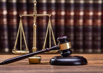 На Закарпатті судитимуть колишню очільницю Держгеокадастру за незаконну передачу землі з водосховищем