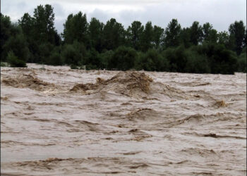 Негода на Закарпатті: синоптики прогнозують значне підвищення рівня річок –