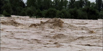 Негода на Закарпатті: синоптики прогнозують значне підвищення рівня річок –