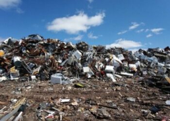 Нестерпний сморід та таргани: мешканці Сваляви вимагають вирішити проблему сміттєзвалища –