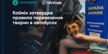 Нові правила для пасажирів з тваринами: Кабмін унормував перевезення у міжміському транспорті