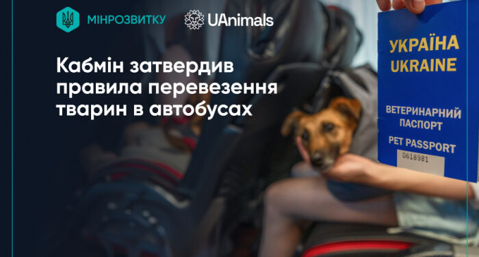 Нові правила для пасажирів з тваринами: Кабмін унормував перевезення у міжміському транспорті