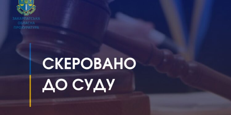 Понад 5,5 млн грн “розчинилися” на будівництві спорткомплексу: судитимуть чиновника сільради (ФОТО)