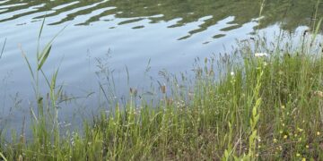 Трагедія на Хустщині: у Нанкові втопився 13-річний хлопець –