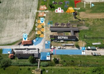 У Берегівському районі пройде унікальний забіг серед буйволів –