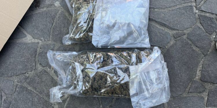 У Мукачеві затримали 21-річного торговця наркотиками, який постачав їх до різних регіонів України (ФОТО)