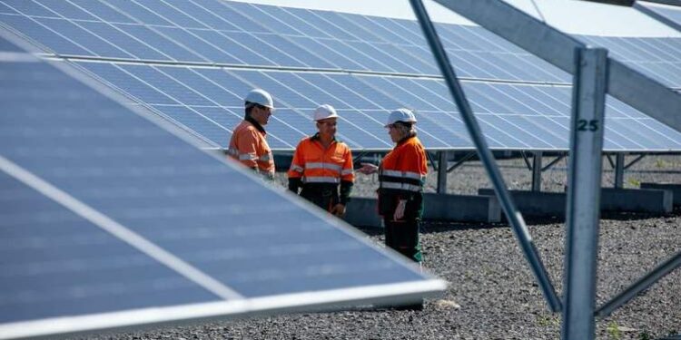 У Великих Лучках на Мукачівщині на 18 га побудують СЕС на 22 МВт із акумулятором для зберігання енергії