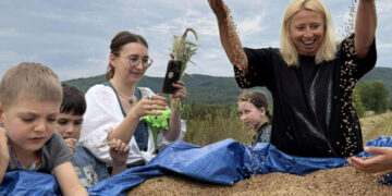 “Від зерна до хліба”: урожай пшениці вже вдруге зібрала закарпатка Аліса Смирна з дітьми