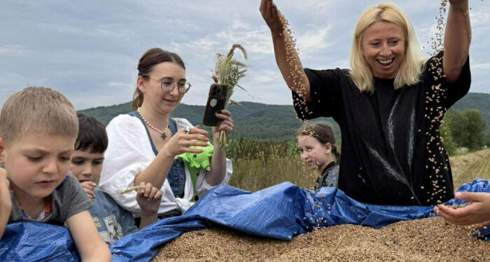 “Від зерна до хліба”: урожай пшениці вже вдруге зібрала закарпатка Аліса Смирна з дітьми