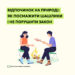 Відпочинок на природі: як посмажити шашлики і не порушити закон