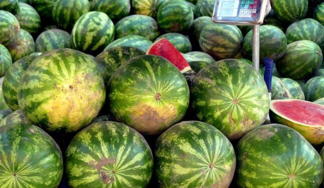Закарпаття смакує літо: на ринки надійшли перші кавуни 2025 року –