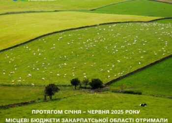 Земельний податок на Закарпатті: надходження за 6 місяців майже на 20% перевищили минулорічні