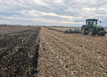 Своєчасне лущення стерні може зберегти до 20-25 мм продуктивної вологи в ґрунті – Техніка