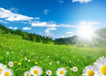 15 серпня синоптики прогнозують на Закарпатті спеку, грози та туман