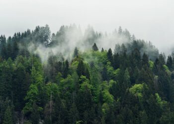 Трагедія в горах: загинув 26-річний чоловік — Закарпаття